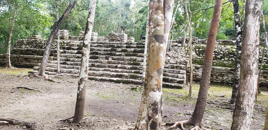 Zona Arqueológica de Cobá reabre al público con aforo reducido