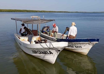 Cooperativista cardenense acusa a pescadores yucatecos de arrasar con especies marinas