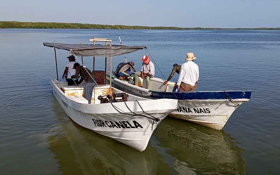 Cooperativista cardenense acusa a pescadores yucatecos de arrasar con especies marinas