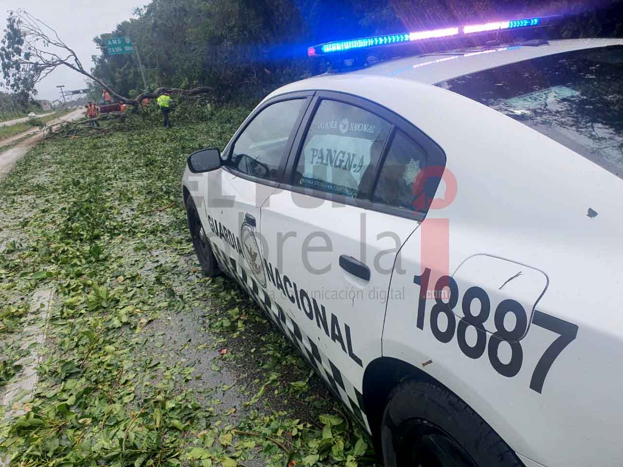 Guardia Nacional apoya a población de Quintana Roo y Yucatán afectada por “Grace”