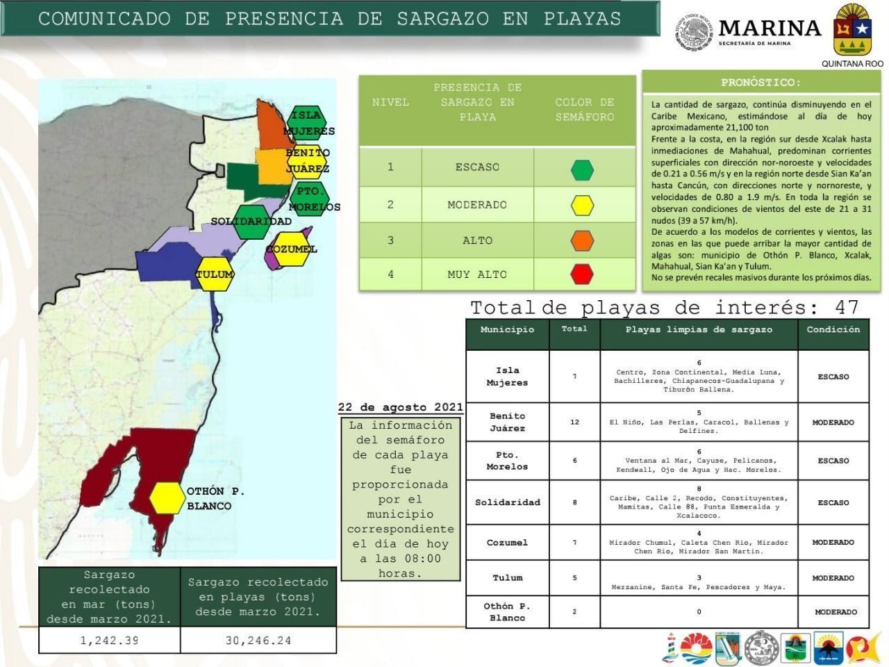 Presencia de sargazo sigue disminuyendo en playas de Quintana Roo; Secretaría de Marina
