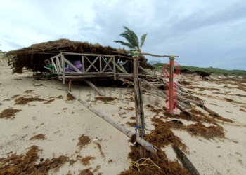 Protección Civil declara saldo blanco en Cozumel tras el impacto del huracán «Grace»