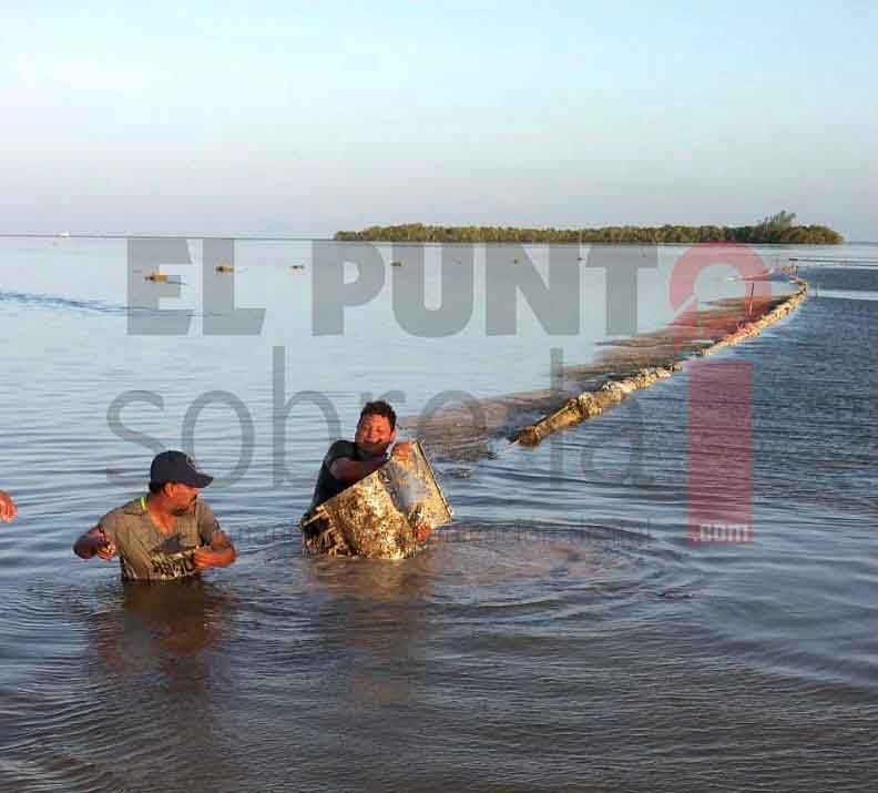 Reparan daños ocasionados por huracán “Grace” en línea submarina que lleva agua potable a Holbox
