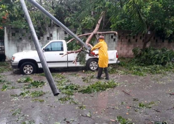 Restablecer la movilidad y el servicio eléctrico, prioridad en Solidaridad