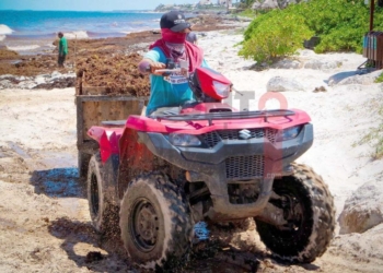 Retiran más de dos mil toneladas de sargazo de playas de Tulum entre junio y agosto