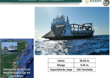 Analizan programas institucionales de atención al sargazo en Quintana Roo