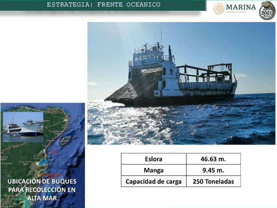 Analizan programas institucionales de atención al sargazo en Quintana Roo