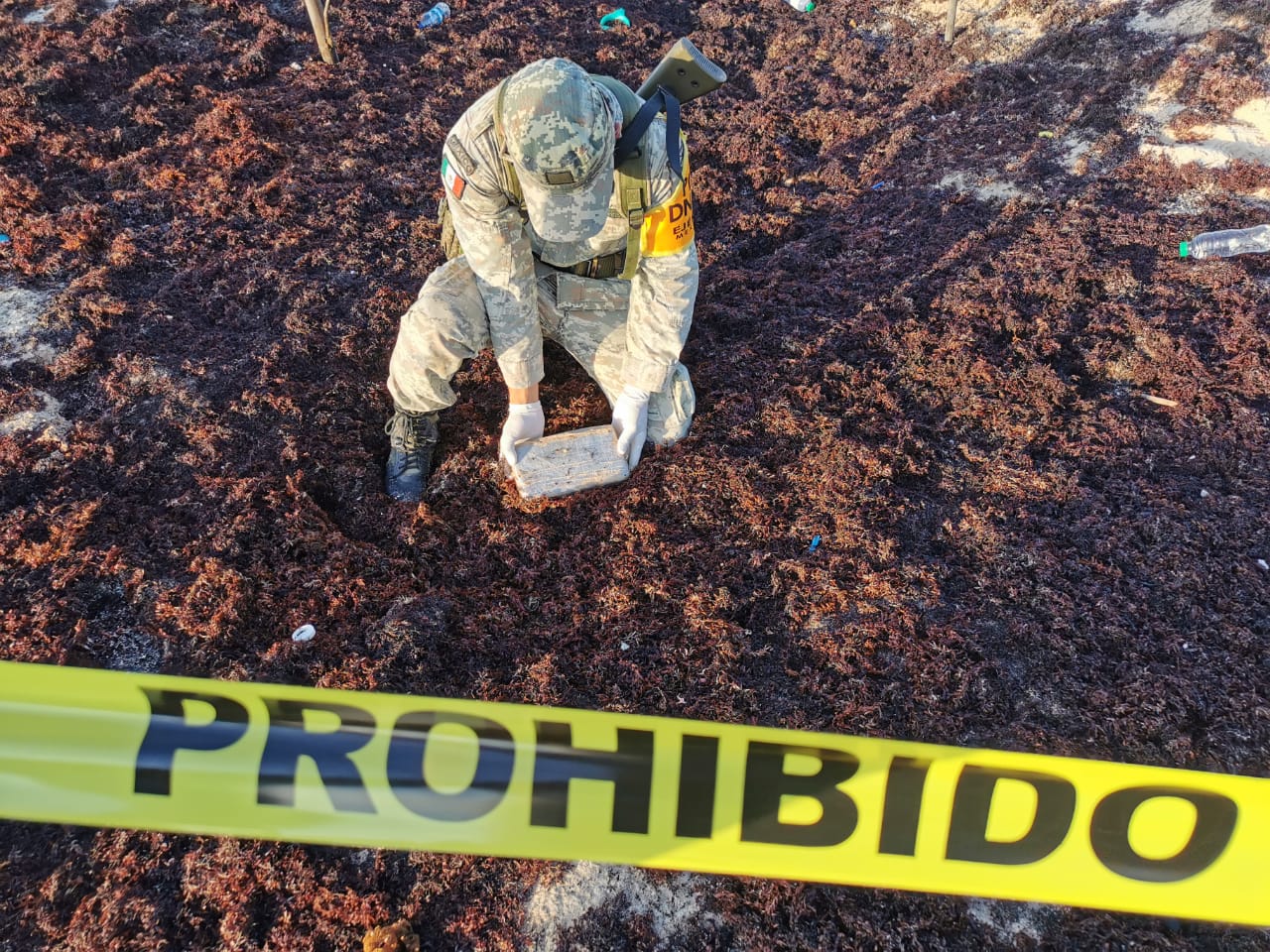 SEDENA asegura presunta droga en playas de Cozumel
