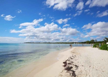 Solidaridad reporta playas limpias de sargazo