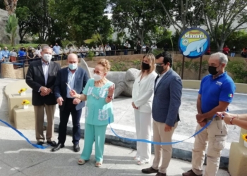 Trasladan a dos manatíes de Quintana Roo a Jalisco para su conservación