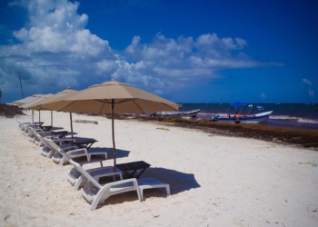 Tulum, único municipio de Quintana Roo con presencia alta de sargazo en sus playas