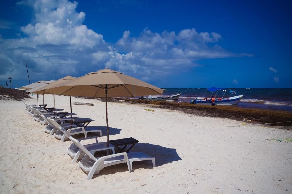 Tulum, único municipio de Quintana Roo con presencia alta de sargazo en sus playas