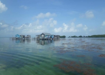 Evacuan banco chinchorro por Grace