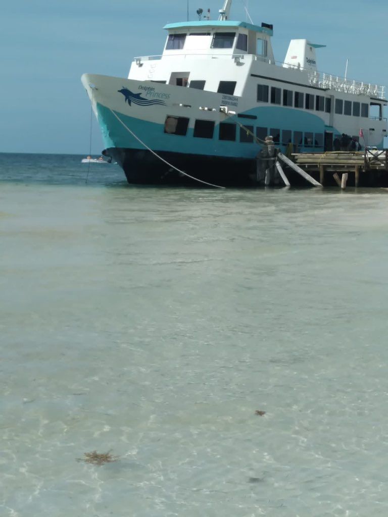 Evacúan a bañistas de playa de Cancún por presencia de cocodrilos cerca de un muelle