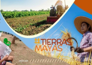 Lanzan la convocatoria para que organizaciones sin fines de lucro participen en el programa “Tierras Mayas”