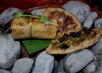 Científico emprendedor fomenta en Cancún cultura gastronómica de los insectos como un plus nutritivo y ecológico
