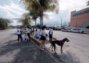 Ambientalistas y defensores de animales se manifiestan en Cancún