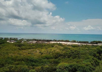 RIU anuncia que reanudará construcción de hotel en Punta Nizuc
