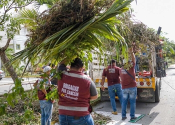 A una semana del paso del huracán “Grace” sigue la limpieza de calles en Cancún