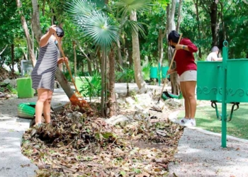 Organizan en Puerto Morelos jornadas de limpieza en parques con empleados municipales y apoyo ciudadano