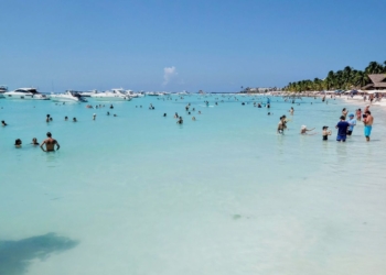 La Zofemat trabaja para dejar libre de sargazo Playa Norte, en Isla Mujeres