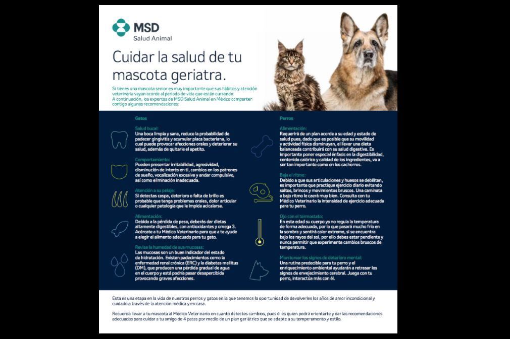 Viejitos en casa y ¿de cuatro patitas?