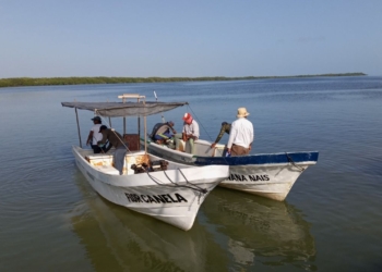 Pescadores de Chiquilá tuvieron flojo inicio de captura de pulpo