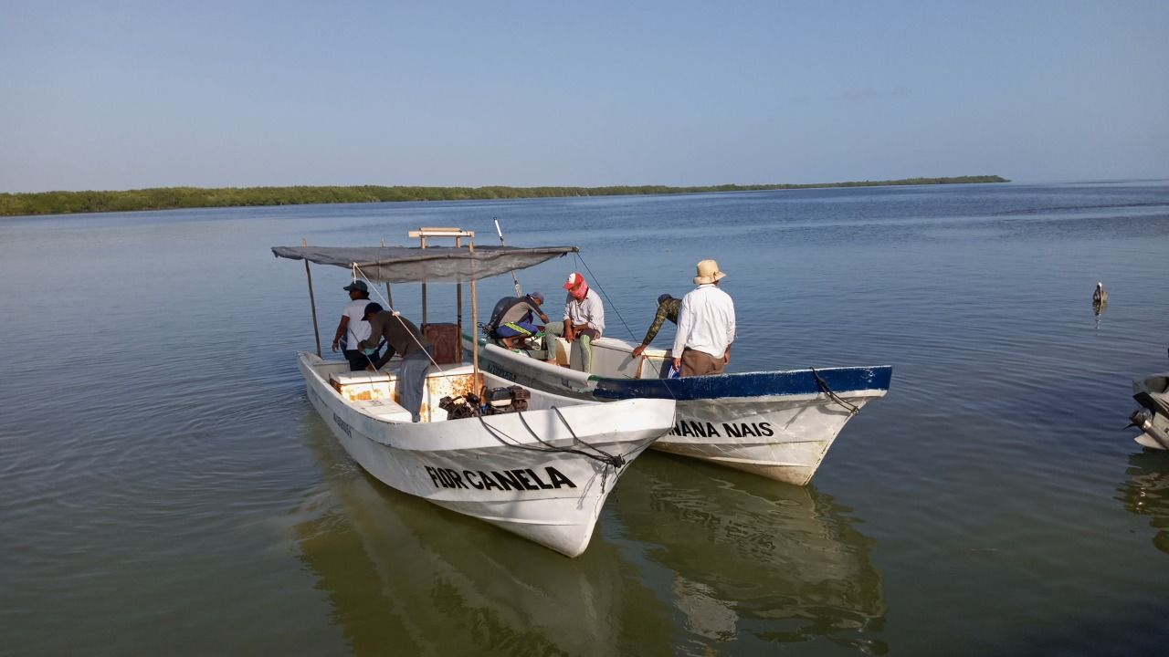 Pescadores de Chiquilá tuvieron flojo inicio de captura de pulpo