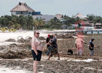 Toneladas de sargazo recalan en playas de Cancún tras paso de huracán “Grace”