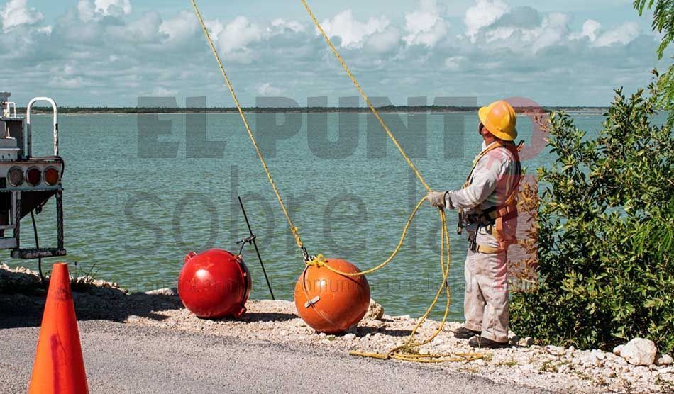 CFE protege vuelo del Flamingo Rosa en Yucatán con instalación de 35 boyas aéreas