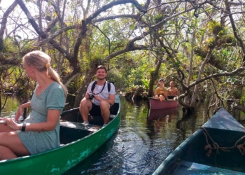Los Corchales, opción alterna para el turismo más allá de Holbox en Lázaro Cárdenas