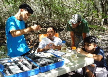 Museo carrilloportense capacita a jóvenes mayas en conservación y manejo de agua