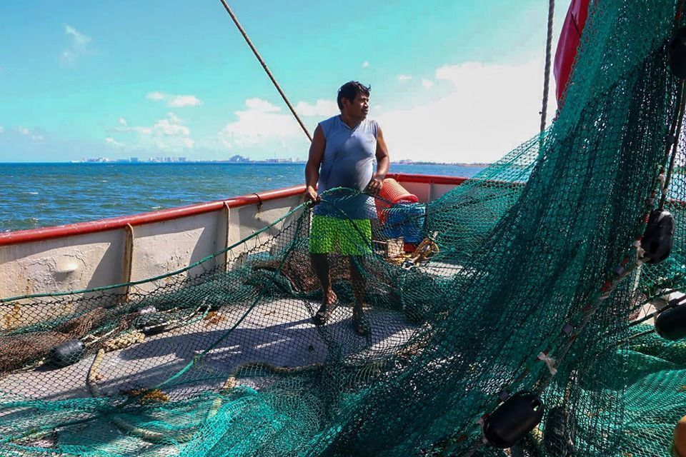Consorcio bancario español y Foro Mundial por la Naturaleza colaboran para retirar redes de pesca abandonadas en Nayarit