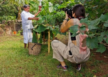 Premian la Innovación del Turismo Rural en Quintana Roo