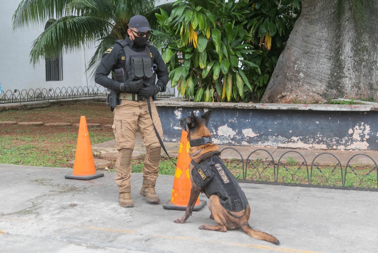 Equipamiento para reforzar la seguridad en Valladolid