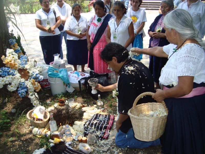 Pedagogía del o la médico tradicional indígena en el Estado de Veracruz, a través de sus testimonios