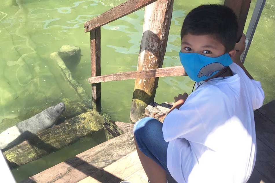 Nombran a «bebé» manatí como fundador de la ciudad de Chetumal: «Pompeyo»