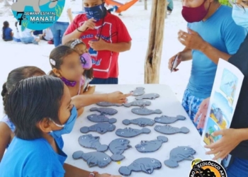 Suman esfuerzos para promover la conservación de los manatíes y su hábitat
