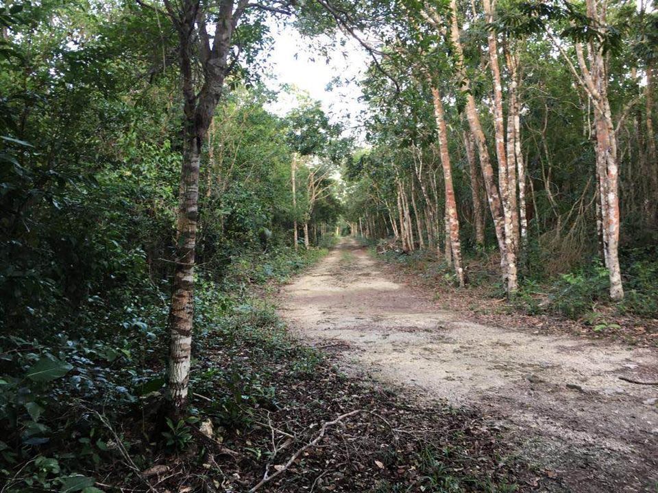 Autoridad estatal exhorta a quintanarroenses no comprar terrenos sin garantía de urbanización
