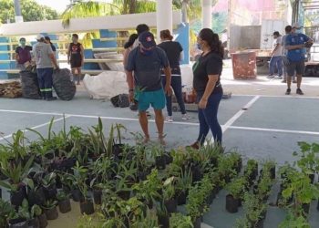 Asociación Civil implementa intercambio de basura por plantas para sanear Holbox
