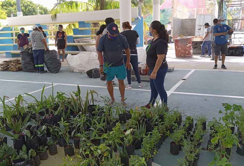 Asociación Civil implementa intercambio de basura por plantas para sanear Holbox