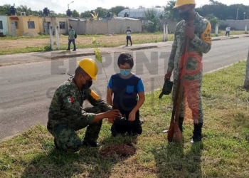Autoridad estatal realiza jornada de limpieza y reforestación en Chetumal