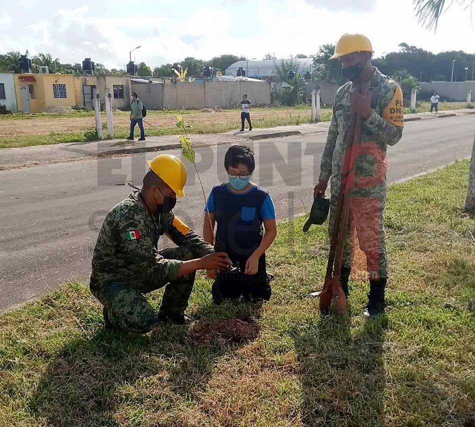 Autoridad estatal realiza jornada de limpieza y reforestación en Chetumal