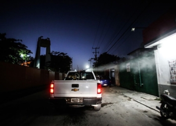 Ayuntamiento portomorelense emprende jornadas de fumigación para evitar proliferación de moscos