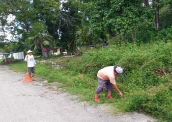 Ayuntamiento cardenense da mantenimiento y retira maleza de centro ceremonial maya en Lázaro Cárdenas