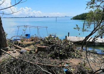 Promueven la protección del medioambiente mediante políticas de anticorrupción