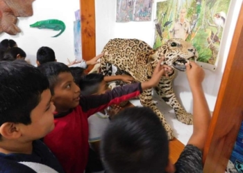 Celebran 32 años de existencia de la Casa de la Naturaleza en Felipe Carrillo Puerto