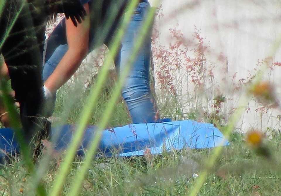 Gobierno Federal reporta baja en homicidio doloso, feminicidio y violencia familiar