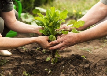 Hacia un programa nacional de agroecología