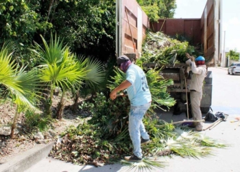 Ayuntamiento de Puerto Morelos genera políticas públicas para el bienestar de las familias
